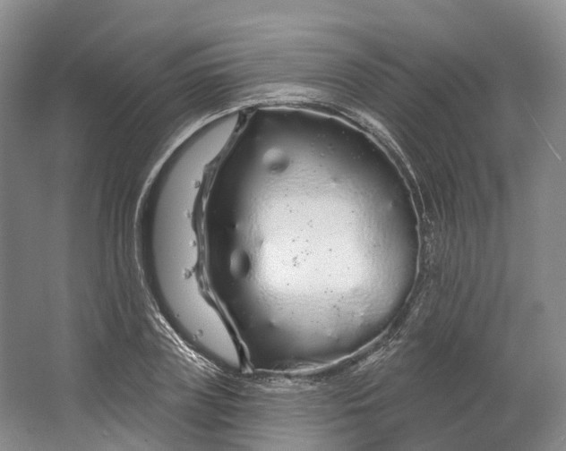 X0000064720835200602241636