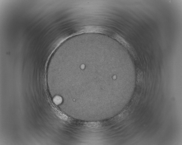 X0000064720836200602241636