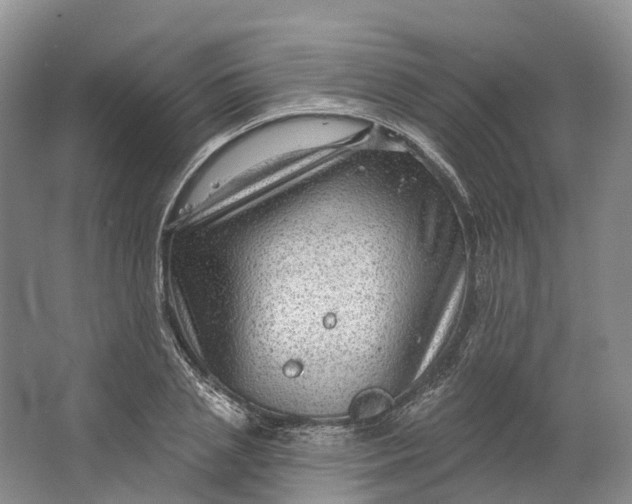 X0000064720837200602241636