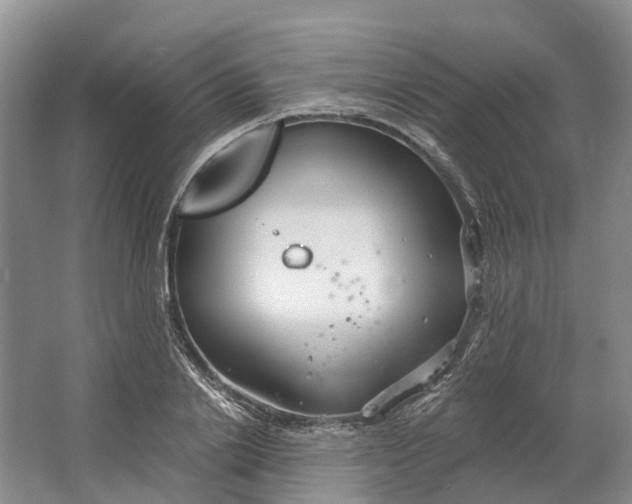 X0000064720838200602241636