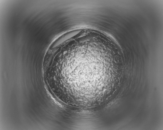 X0000064720839200602241636