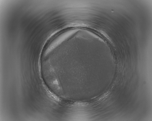 X0000064720840200602241636