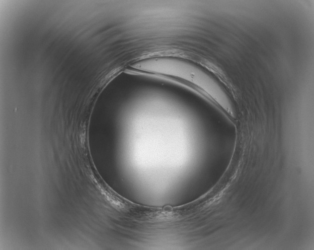 X0000064720841200602241636