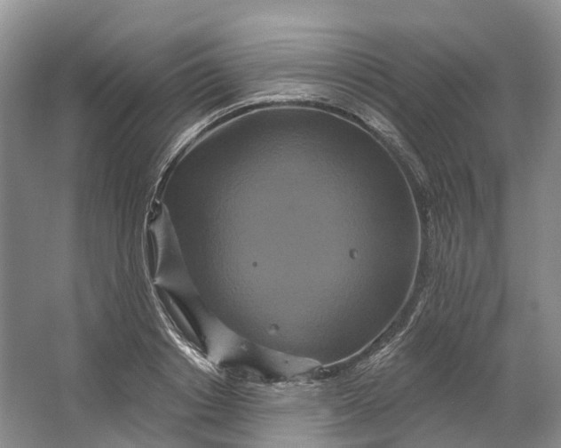 X0000064720842200602241636