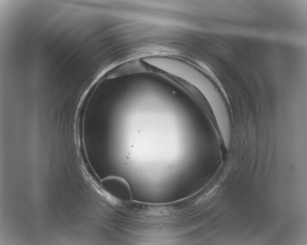 X0000064720843200602241636