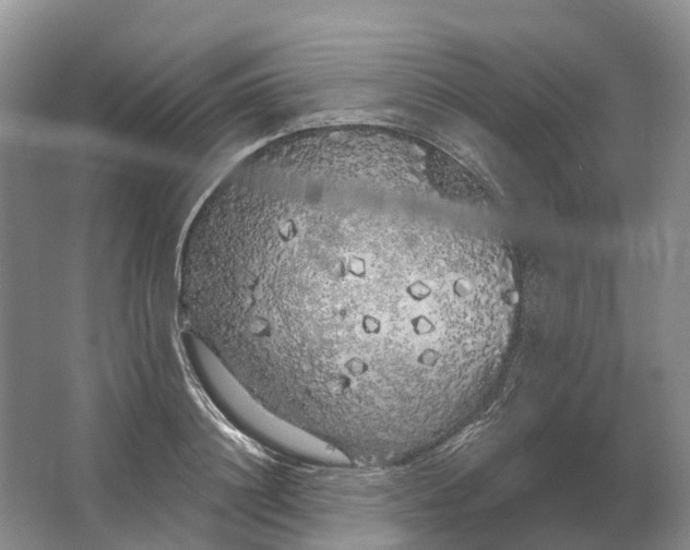 X0000064720844200602241636