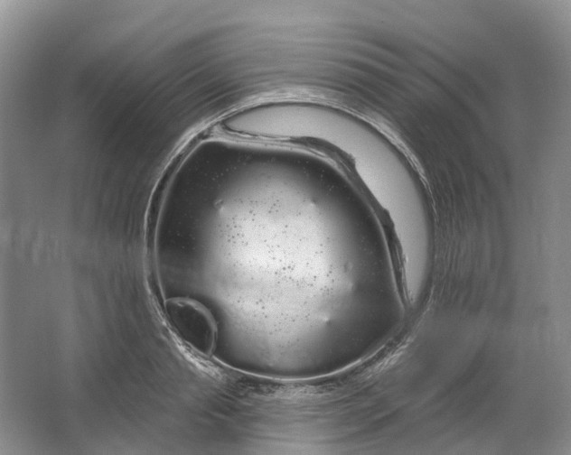 X0000064720845200602241636