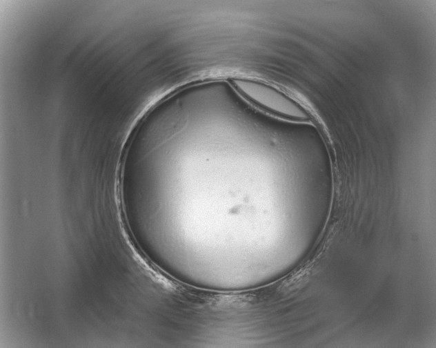 X0000064720847200602241636