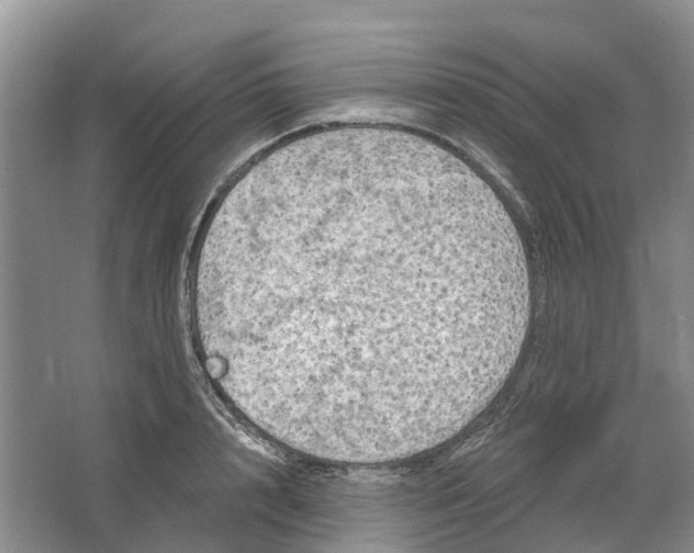 X0000064720848200602241636