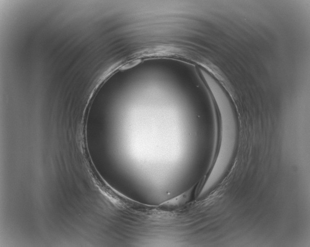 X0000064720850200602241636