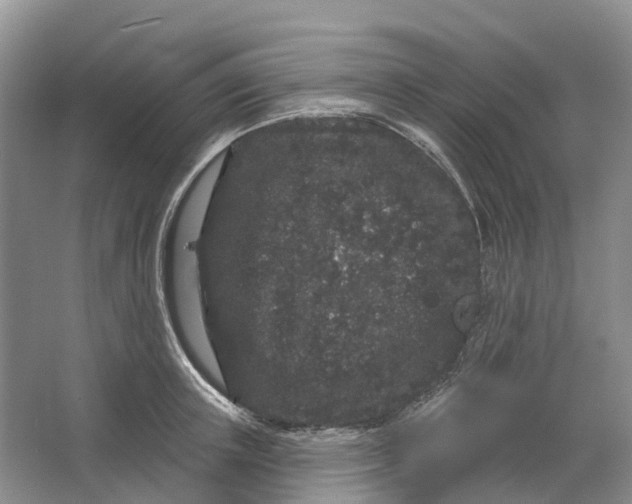 X0000064720851200602241636