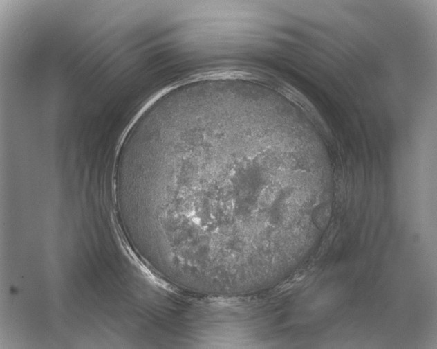 X0000064720852200602241636