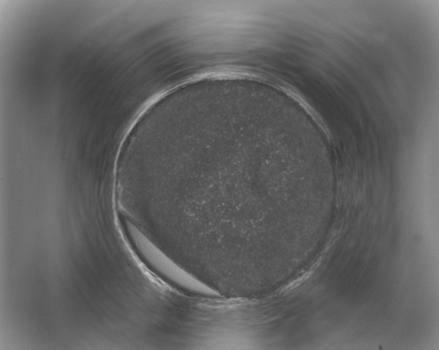 X0000064720853200602241636