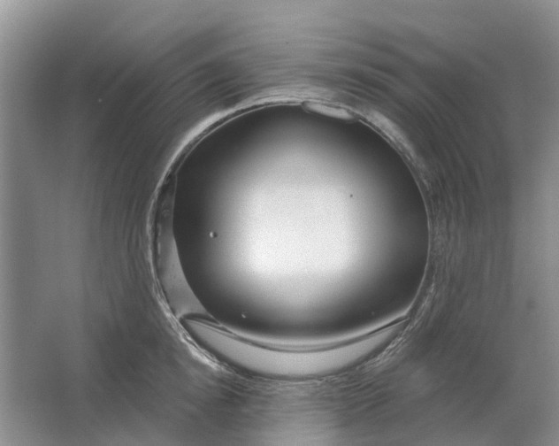 X0000064720854200602241636