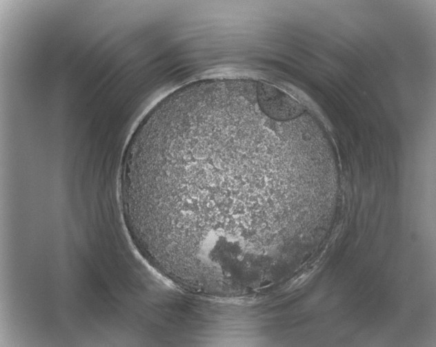 X0000064720855200602241636