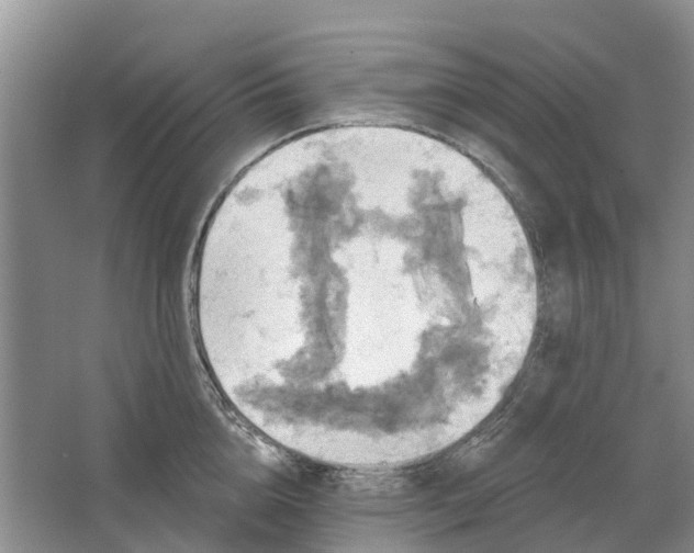 X0000064720856200602241637