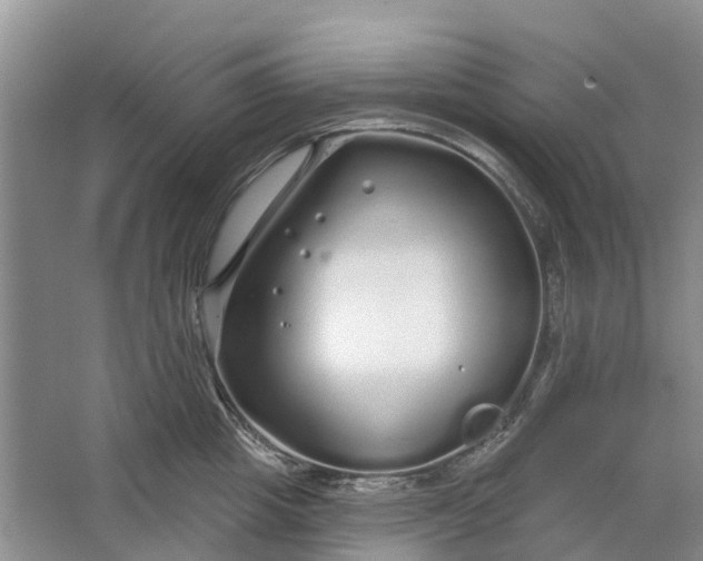 X0000064720857200602241637