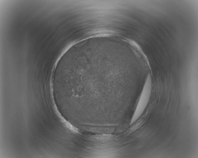 X0000064720859200602241637