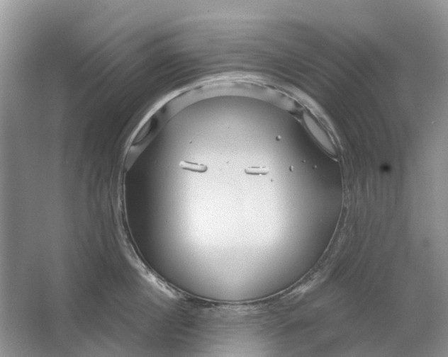 X0000064720860200602241637