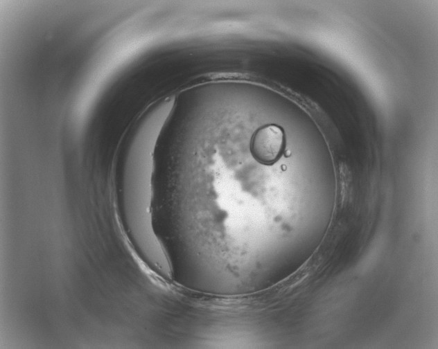 X0000064720861200602241637