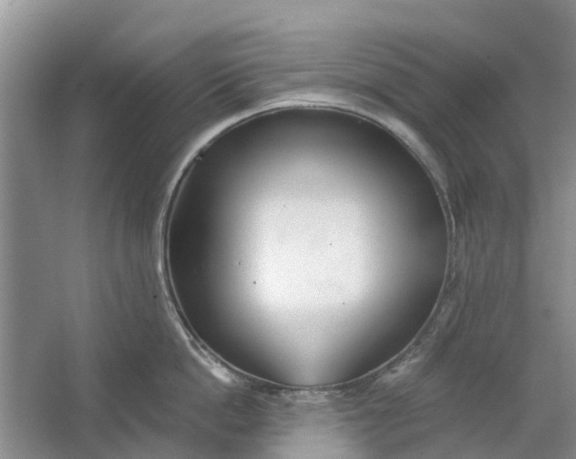 X0000064720862200602241637