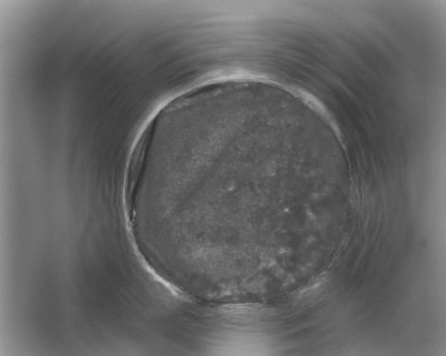 X0000064720863200602241637