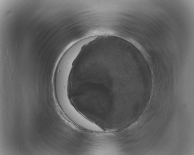 X0000064720864200602241637