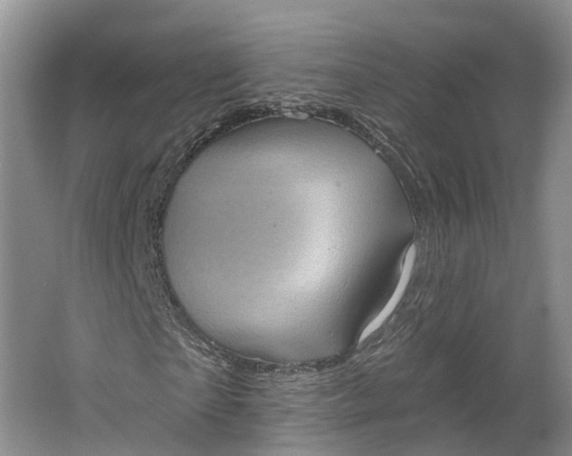 X0000064720865200602241635