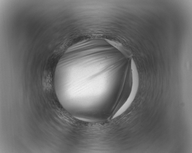 X0000064720866200602241635