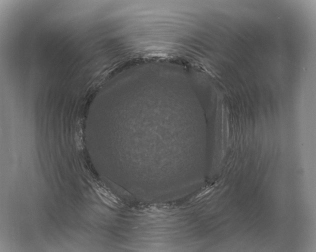 X0000064720868200602241635