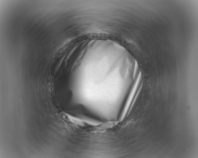 X0000064720870200602241635