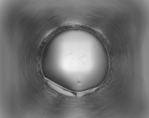 X0000064720871200602241635