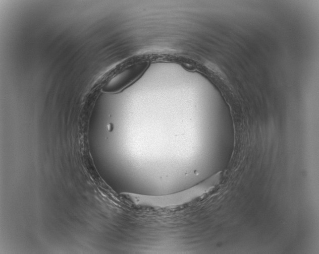 X0000064720872200602241635