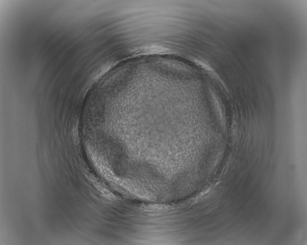 X0000064720873200602241635