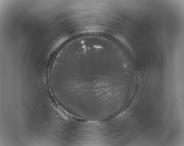 X0000064720874200602241635