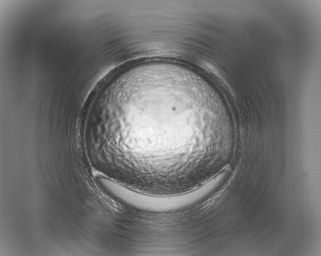 X0000064720875200602241635