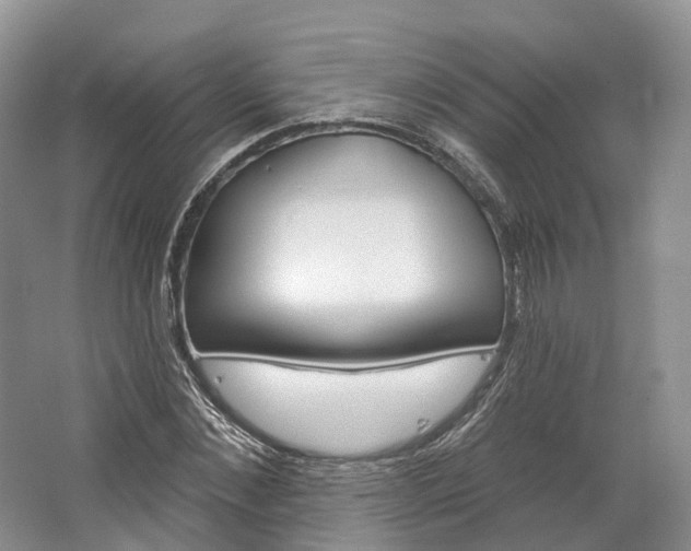 X0000064720876200602241635