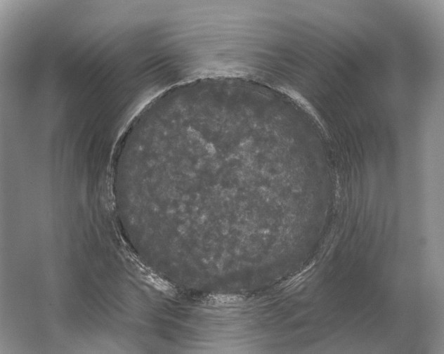 X0000064720878200602241635