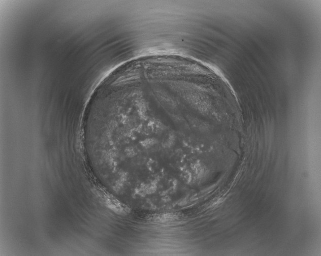 X0000064720879200602241635