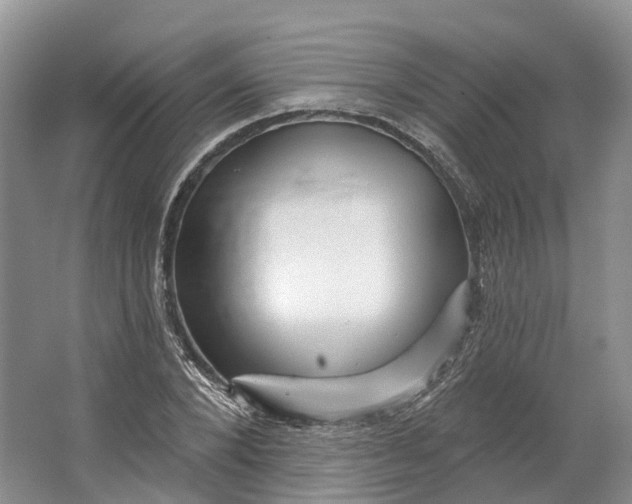 X0000064720880200602241635