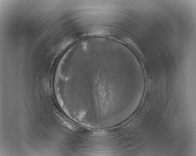 X0000064720882200602241635