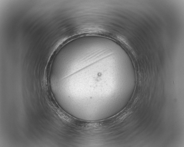 X0000064720883200602241635