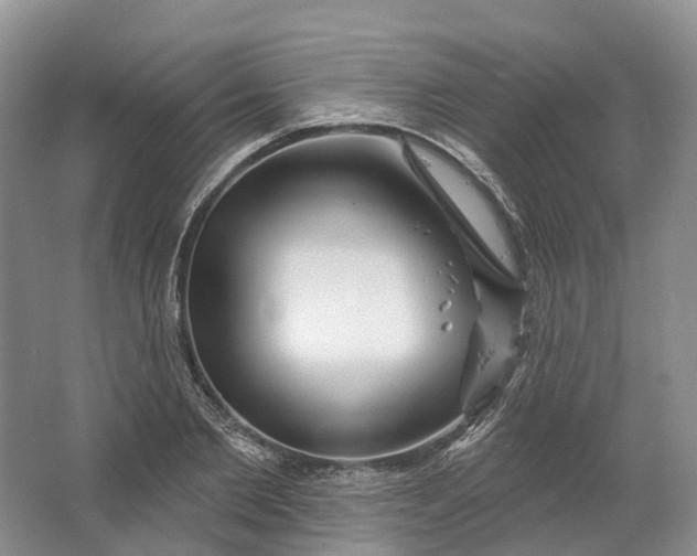 X0000064720885200602241635