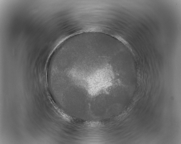 X0000064720886200602241635