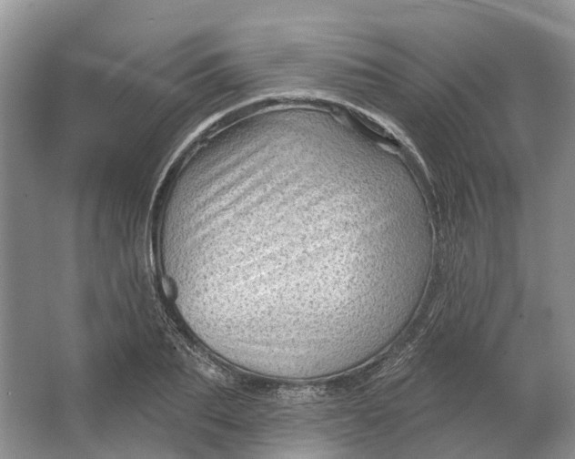 X0000064720887200602241635