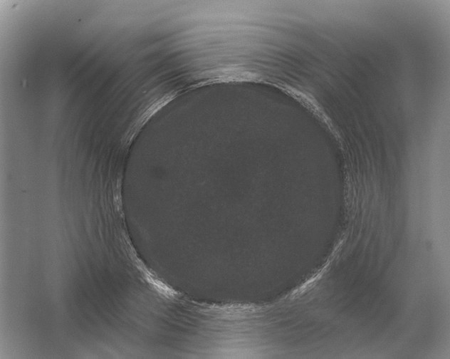 X0000064720889200602241635