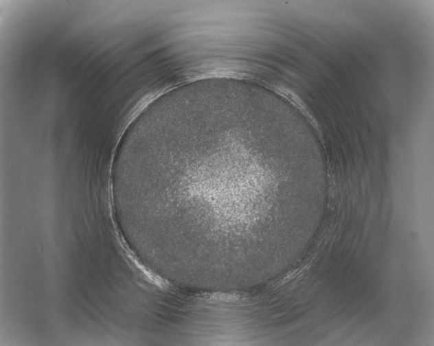 X0000064720890200602241635