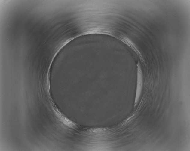 X0000064720892200602241635