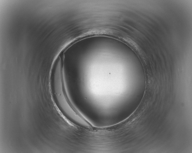 X0000064720894200602241635