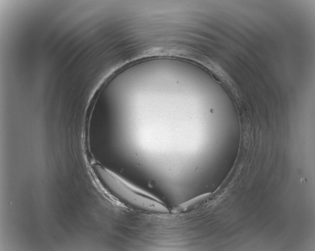 X0000064720896200602241635